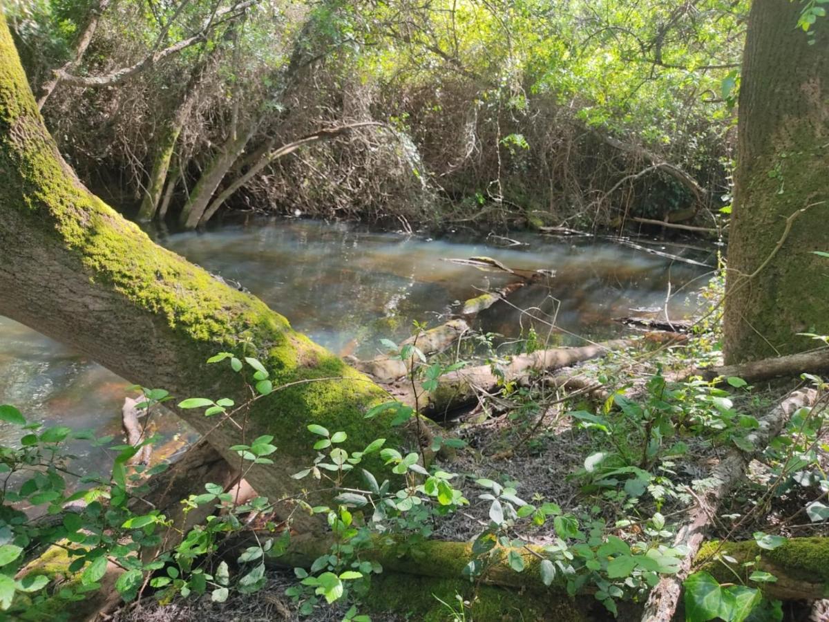 Herdade Da Maceira São Luis Extérieur photo
