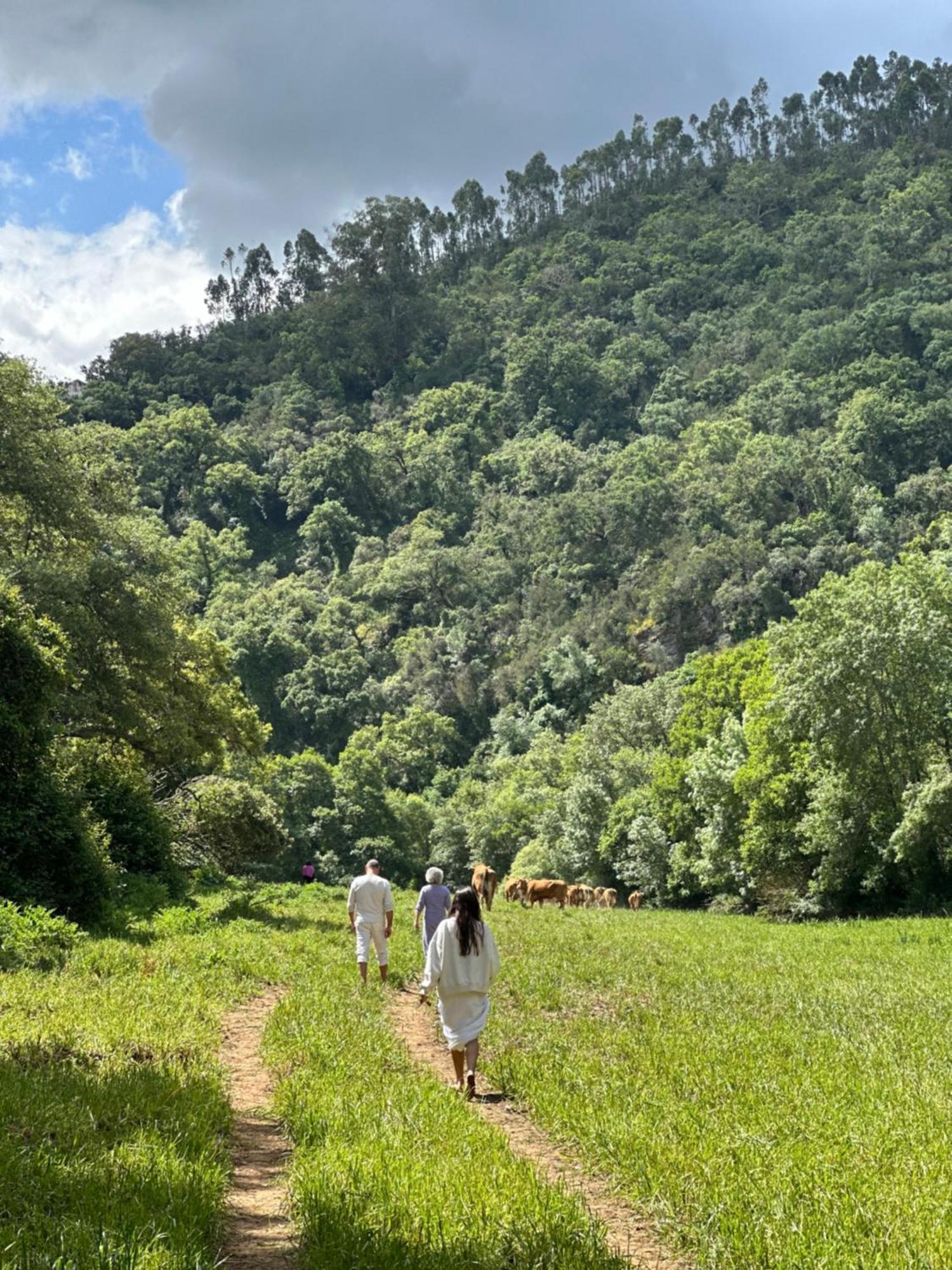 Herdade Da Maceira São Luis Extérieur photo