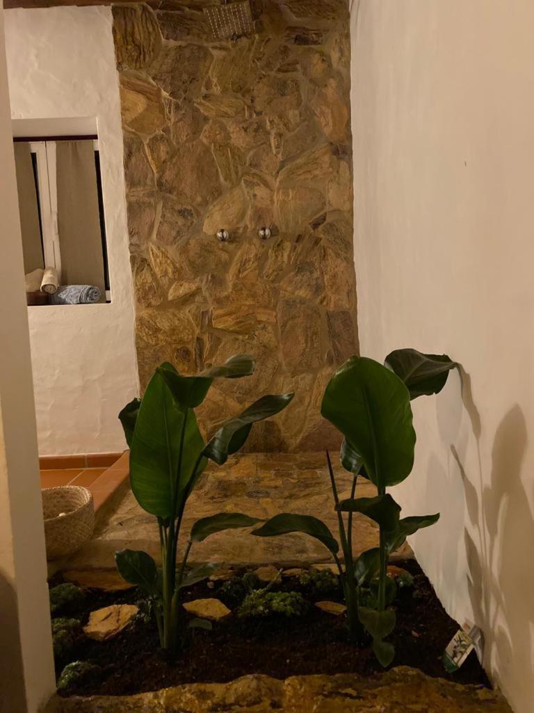 Herdade Da Maceira São Luis Chambre photo