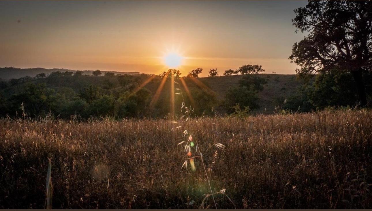 Herdade Da Maceira São Luis Extérieur photo